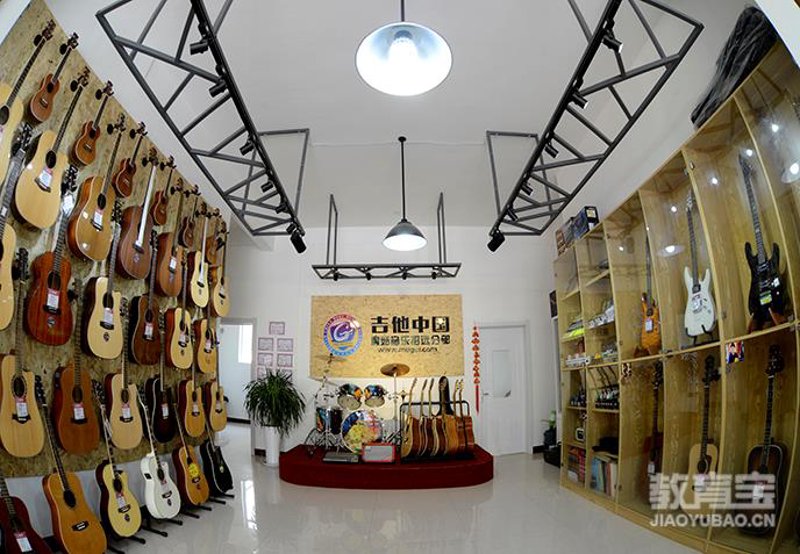 在选择长笛时，您可能会被众多的品牌和型号所困惑，尤其是在追求最佳音质的同时希望控制成本。本文将为您解析几个最受欢迎的长笛品牌及其推荐型号，并结合实际案例帮助您做出明智的选择。